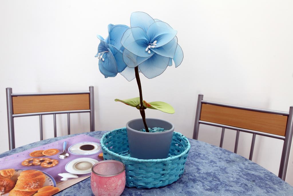 Parenzana Sea View Apartments Sk 波尔托罗 外观 照片